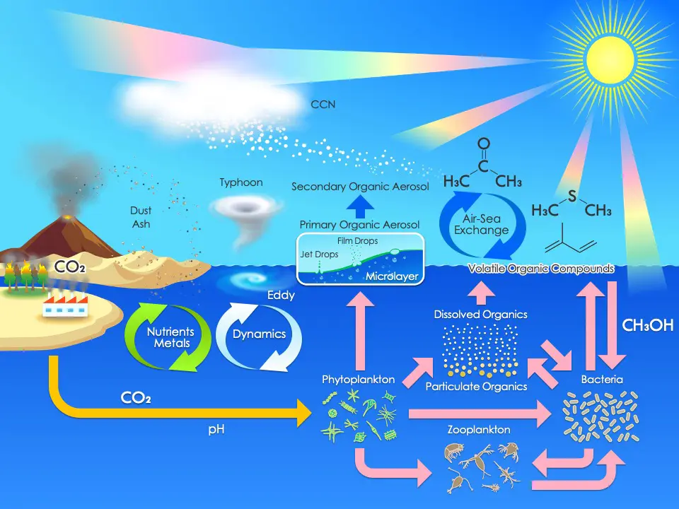 Air-Sea Volatile Organics