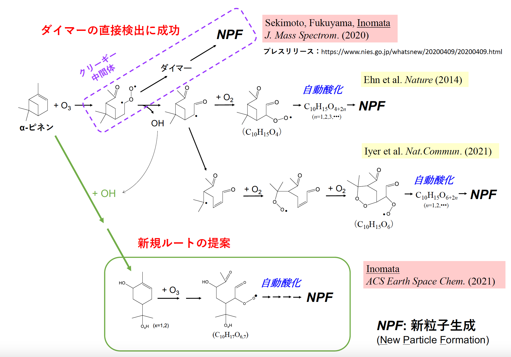 A new reaction pathway for new particle formation during α-pinene ozonolysis