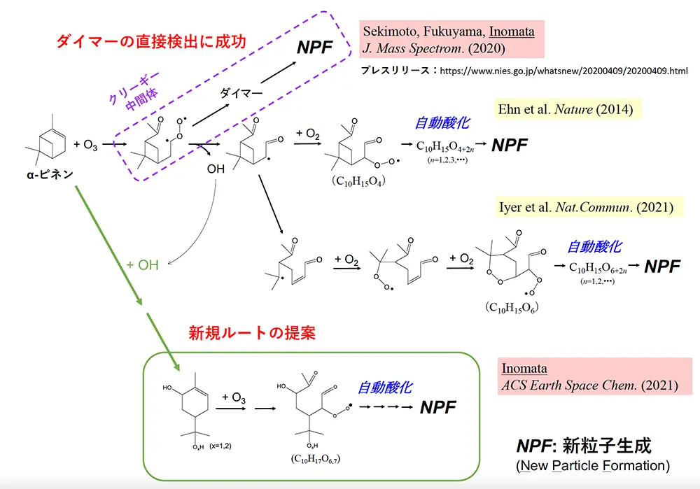 A new reaction pathway for new particle formation during α-pinene ozonolysis