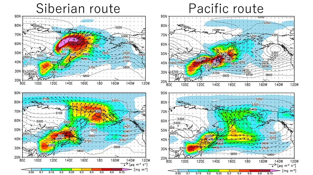 Transport pathways and mechanisms of Asian pollutants to the Arctic