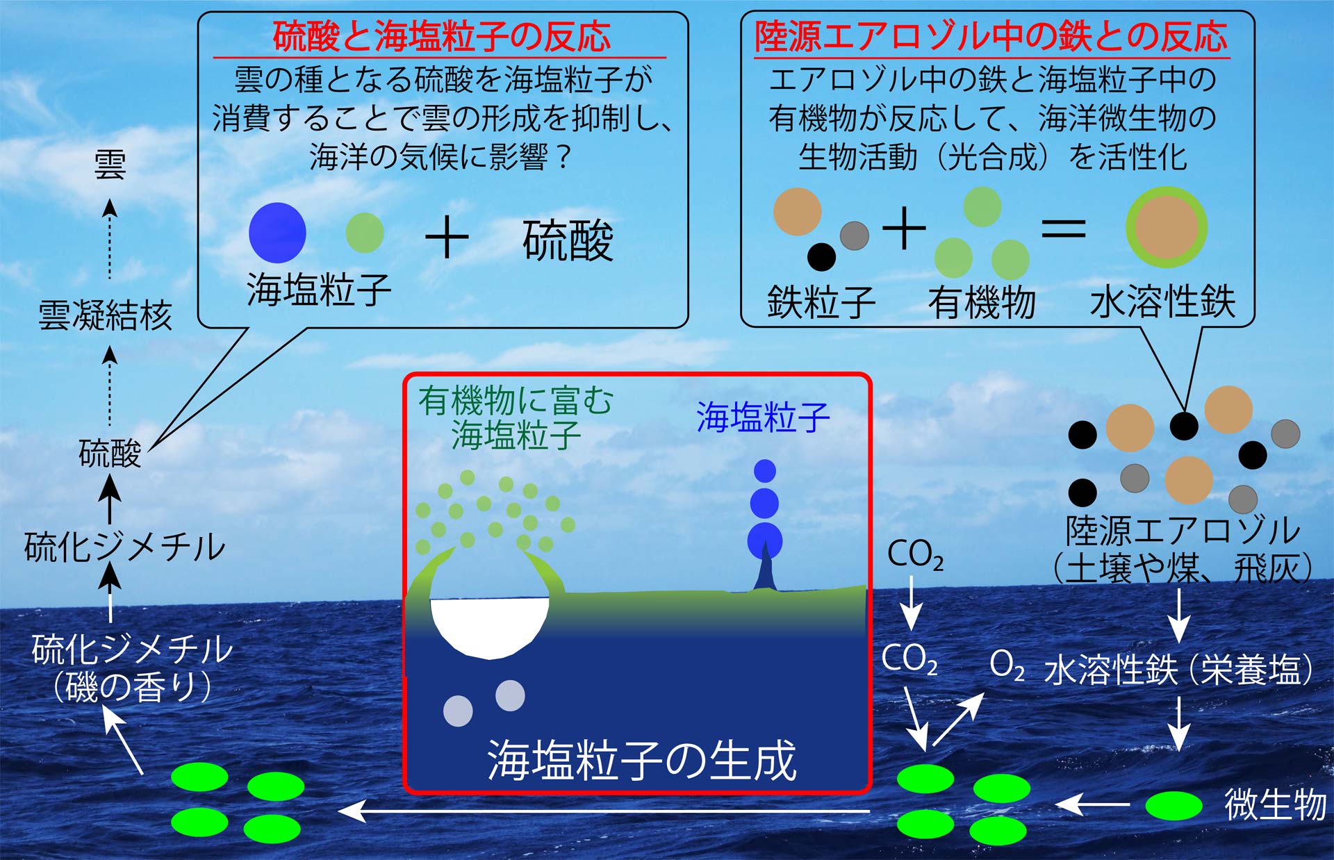 海塩粒子中の有機物が大気化学反応を通して気候に与える影響